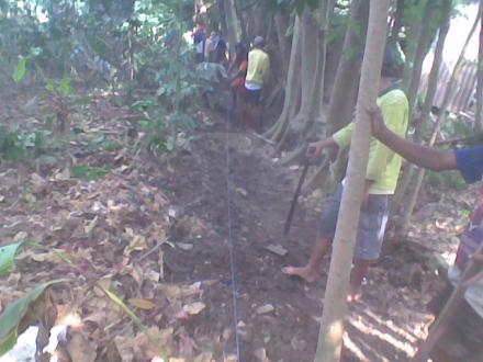 Kegiatan Angkat Walet