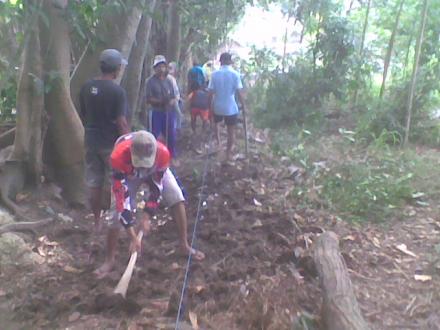 Kegiatan Angkat Walet