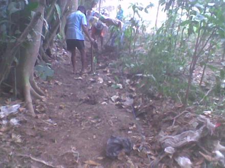 Kegiatan Angkat Walet