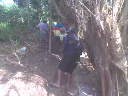 Kegiatan Angkat Walet