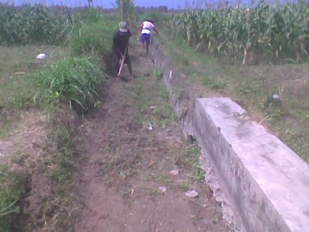 Kegiatan Angkat Walet