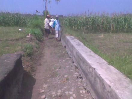 Kegiatan Angkat Walet