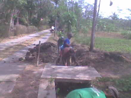 Kegiatan Angkat Walet