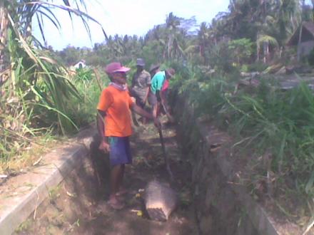 Kegiatan Angkat Walet