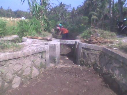 Kegiatan Angkat Walet