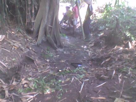 Kegiatan Angkat Walet